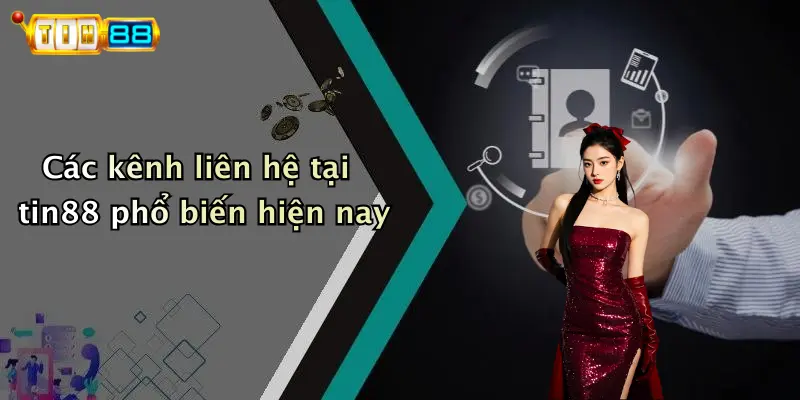 Các kênh liên hệ tại tin88 phổ biến hiện nay