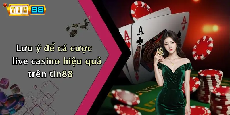 Lưu ý để cá cược live casino hiệu quả trên tin88