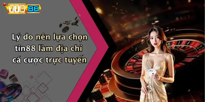 Lý do nên lựa chọn tin88 làm địa chỉ cá cược trực tuyến