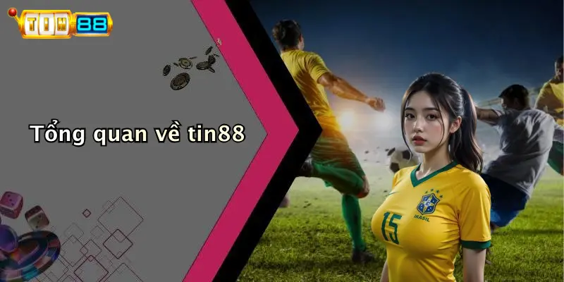 Tổng quan về tin88
