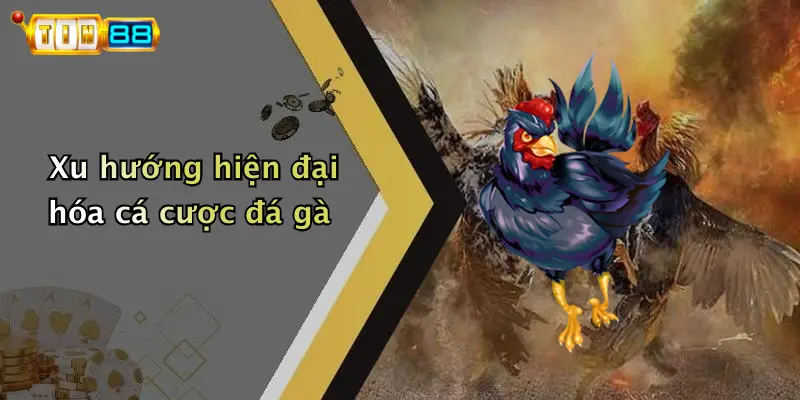 Xu hướng hiện đại hóa cá cược đá gà